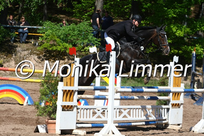 104M8497_Spring L.JPG